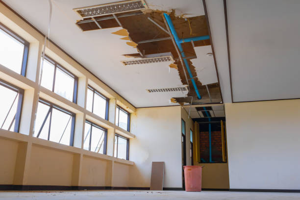 Best 24-hour water damage restoration  in Newfield, NJ