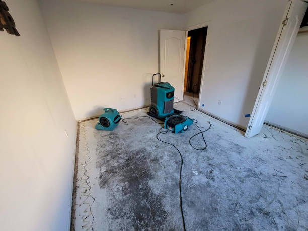 Best Flood restoration services  in Newfield, NJ