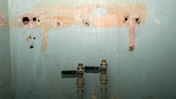 Best Commercial water damage restoration  in Newfield, NJ