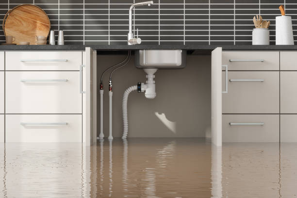 Best Water damage contractors near me  in Newfield, NJ