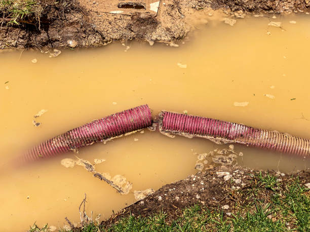 Carpet water damage restoration in NJ