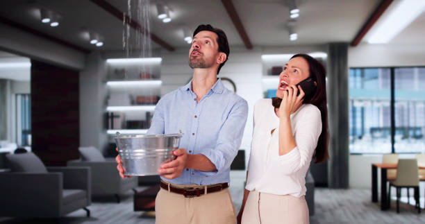 Best Residential water damage restoration  in Newfield, NJ